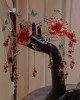 朱紅綠蝶配（超美）