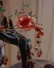 朱紅綠蝶配（超美）