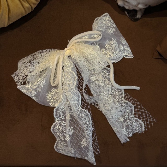 全新短款蕾絲蝴蝶結（有暗夾）